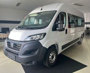 Fiat Fiat Ducato 8 Maxi Shuttle 35 140 L4H2 8-Sitzer CA Gebrauchtwagen