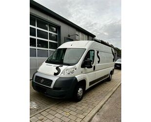 Fiat Fiat Ducato 130 Multijet L4/H2 Gebrauchtwagen