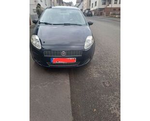 Fiat Fiat Punto 1.2 8V Active Active Gebrauchtwagen