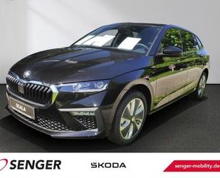 Skoda Skoda Scala 1.0 TSI DSG Drive Panorama Komfort-Pak Gebrauchtwagen