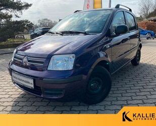 Fiat Fiat Panda 1.2 8V Dynamic RADIO+KLIMA+2 VORB+TÜV-N Gebrauchtwagen