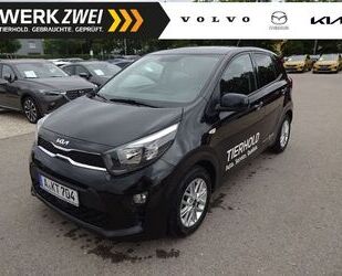 Kia Kia Picanto Vision Gebrauchtwagen