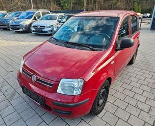 Fiat Fiat Panda 1.2 8V Dynamic Gebrauchtwagen