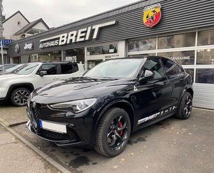 Alfa Romeo Alfa Romeo Stelvio Quadrifoglio 2.9 V6 Bi-Turbo (5 Gebrauchtwagen