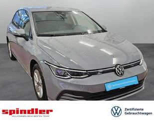 VW Volkswagen Golf VIII Life 2.0 TDI DSG / LED, SZH, Gebrauchtwagen