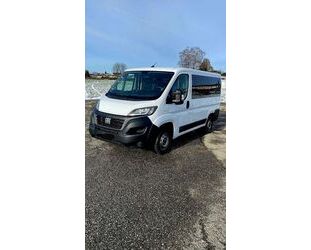 Fiat Fiat Ducato Top Zustand MwSt. Gebrauchtwagen