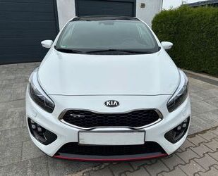 Kia Kia pro_ceed ProCeed 1.6 GT-Track *Rentnerfzg*1.Hd Gebrauchtwagen