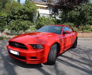 Ford Ford Mustang 3,7L V6 Gebrauchtwagen