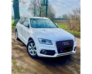 Audi Audi Q5 2.0 TDI 190PS,S-Line,S-tronic,Leder,AHK,Xe Gebrauchtwagen