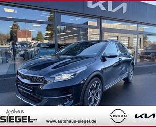 Kia Kia XCeed Platinum Edition*Glasdach*Vollleder*Navi Gebrauchtwagen