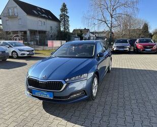 Skoda Skoda First Edition2,0TDI Aut Navi LED ACC PDC TWA Gebrauchtwagen