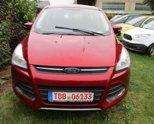 Ford Ford Kuga Trend Hagelschaden Gebrauchtwagen