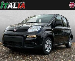 Fiat Fiat Panda 1.0 GSE Hybrid Gebrauchtwagen