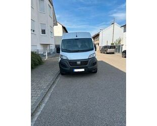 Fiat Fiat Ducato MAXI Kastenwagen 40 L5H2 140 PS Mulitj Gebrauchtwagen