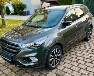 Ford Ford Kuga 2,0 EcoBoost 4x4 ST-Line Autom. ACC Pano Gebrauchtwagen