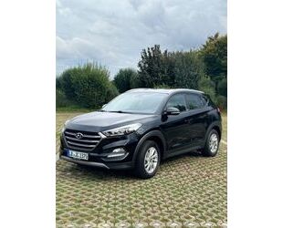 Hyundai Hyundai Tucson Blue 1,6 Gebrauchtwagen