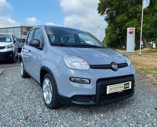 Fiat Fiat Panda 1.0 GSE Hybrid SOFORT AM LAGER Gebrauchtwagen