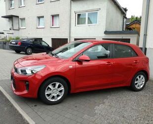 Kia Kia Rio 1.2 Gebrauchtwagen