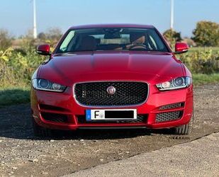 Jaguar Jaguar XE 25t 240PS Portfolio Automatik Portfolio Gebrauchtwagen