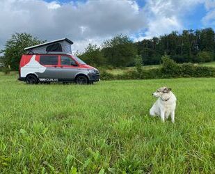 VW Volkswagen T6 Camper Aufstelldach ähnlich Califor Gebrauchtwagen