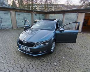 Skoda Skoda Octavia 2.0 TSI DSG Ambition Digital-Tacho Gebrauchtwagen