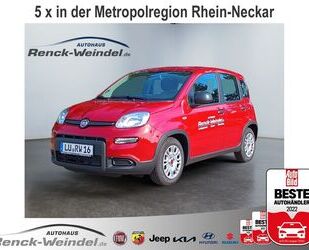 Fiat Fiat Panda 1.0 GSE DAB Klima BT el.SP Spieg. behei Gebrauchtwagen