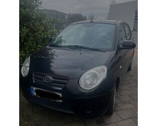 Kia Kia Picanto 1.1 Gebrauchtwagen