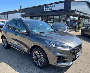 Ford Ford Kuga Plug-In Hybrid ST-Line X, ACC, Head-Up, Gebrauchtwagen