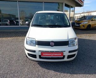 Fiat Panda Gebrauchtwagen