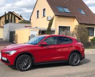 Alfa Romeo Alfa Romeo Stelvio 2.0 Turbo 16V 147kW AT8-Q4 - Gebrauchtwagen