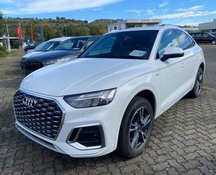 Audi Audi Q5 2.0 TDI Qu. S line Heckkl.el. AHK Pano NAV Gebrauchtwagen