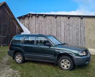 Subaru Subaru Forester 2.0 X Active Active Gebrauchtwagen