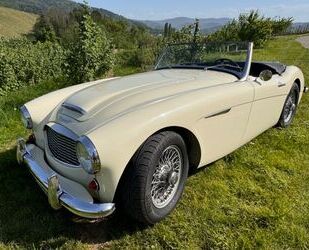 Austin Healey Austin Healey 3000 (MK I) 1960 Roadster Linkslenke Gebrauchtwagen