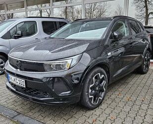 Opel Opel Grandland 1.5 D Automatik GS Gebrauchtwagen