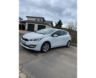 Kia Kia pro_ceed / ProCeed 1.6 CRDi 110PS Gebrauchtwagen