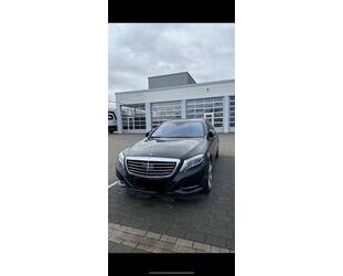 Mercedes-Benz Mercedes-Benz S 350 BlueTEC 4MATIC L Chaffeur Pak Gebrauchtwagen