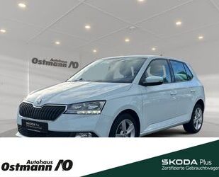 Skoda Skoda Fabia Cool Plus 44kw *PDC*SHZ*KLIMA*Freispre Gebrauchtwagen