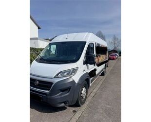 Fiat Fiat Ducato Maxi L4H2 Gebrauchtwagen