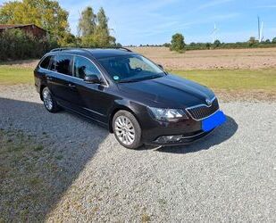 Skoda Skoda Superb 2.0 TDI 125 Green tec DSG Ambition Co Gebrauchtwagen