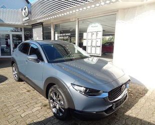 Mazda Mazda CX-30 SKYACTIV-X 2.0 M Hybrid Selection AWD Gebrauchtwagen