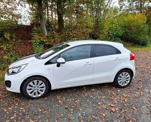 Kia Kia Rio 1.4 Spirit, Klima, getönt, WR, gepflegt, N Gebrauchtwagen