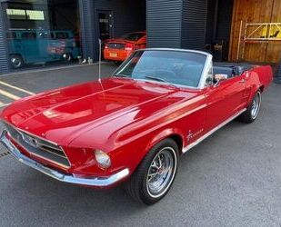 Ford Ford MUSTANG V8 CABRIOLET SPECIAL PRICE SEE TEX Gebrauchtwagen