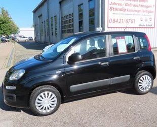 Fiat Fiat Panda Pop 1,2 69 PS FFB+ZV +Zahnriemen neu Gebrauchtwagen