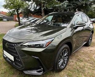 Lexus Lexus NX350h Executive Line * Technologie-Paket * Gebrauchtwagen