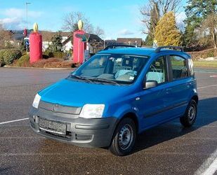 Fiat Fiat New Panda 1.1 8V Active Blau Klima Wi&So Reif Gebrauchtwagen