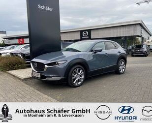 Mazda Mazda CX-30 Selection 360 Grad Kamera AHK-abnehmba Gebrauchtwagen