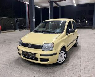 Fiat Fiat Panda 1.2 8V Classic Gebrauchtwagen