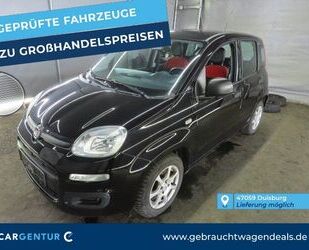 Fiat Fiat Panda 1.2 8V Easy Gebrauchtwagen