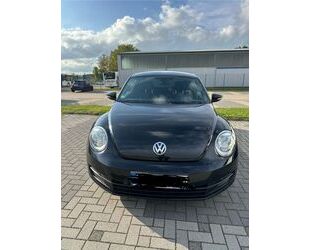 VW Volkswagen 1.2 TSI iBeetle Design iBeetle Design Gebrauchtwagen