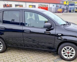 Fiat Panda Gebrauchtwagen